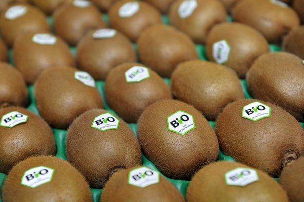 Bio kiwi from Italy – Hebofrut